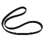 Serpentine Belt